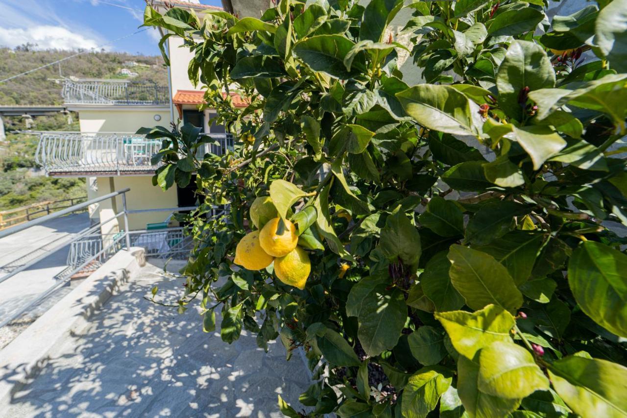 Casa Vacanza Il Portico モネーリア エクステリア 写真